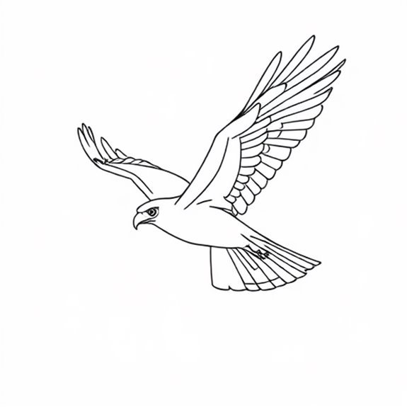 Majestic Bird In Flight Coloring Pages Majestic Bird In Flight Coloring Pages