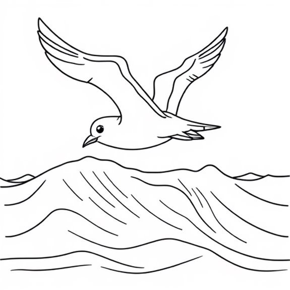 Seagull Gliding Above Ocean Coloring Pages Seagull Gliding Above Ocean Coloring Pages